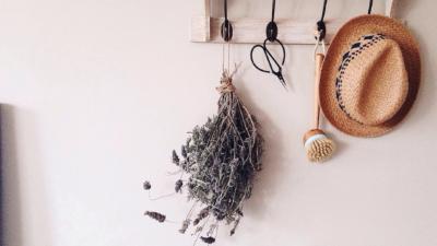 Lavender Bundle for Fresh Scents at Home
